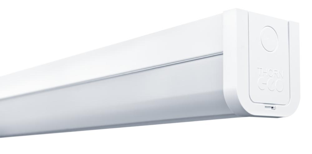 Introducing the Thorn ECO Poppy LED Batten available at Sparks Electrical Wholesalers for the best price. 